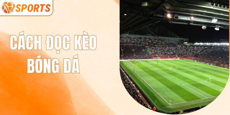 Cách Đọc Kèo Bóng Đá Chuẩn Nhất Cho Thành Viên Mới