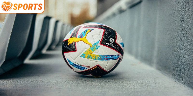 Bóng lăn là VSPORT hoạt động