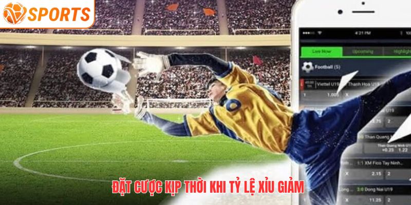 Đặt cược kịp thời khi tỷ lệ xỉu giảm