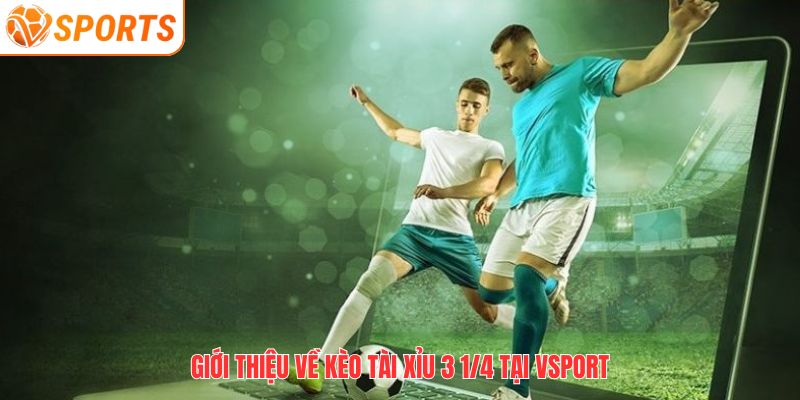 Giới thiệu về kèo tài xỉu 3 1/4 tại VSPORT