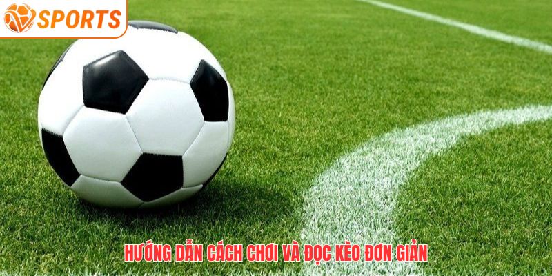 Hướng dẫn cách chơi và đọc kèo đơn giản