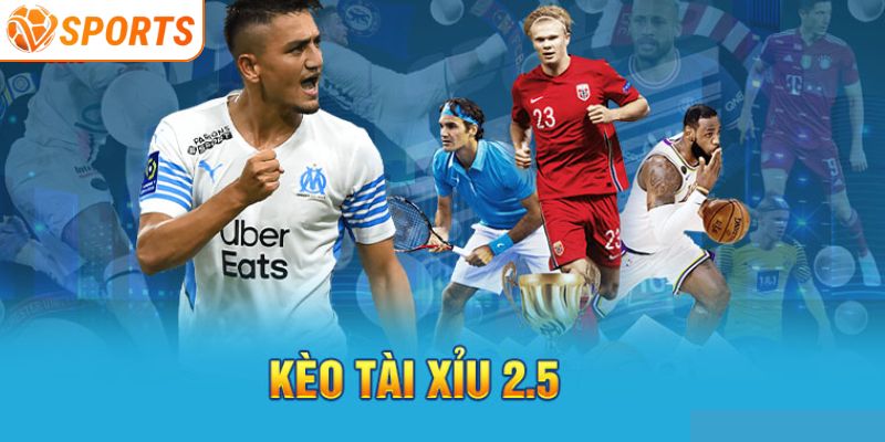 Khái niệm về tài xỉu 2.5